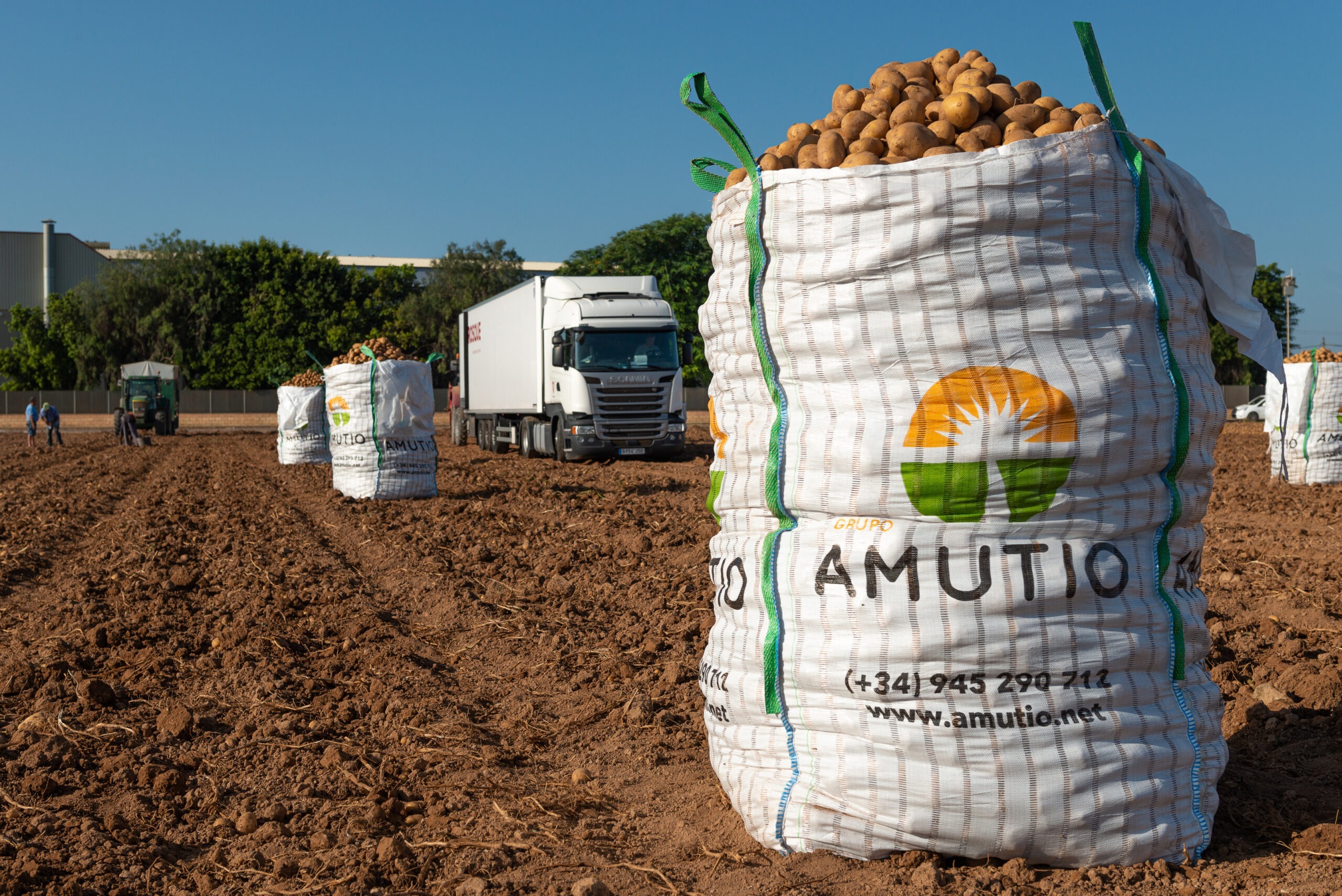 230704-Amutio_Patatas-003-scaled-1